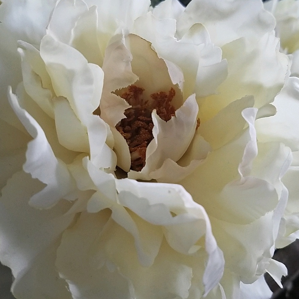 Meet your Posher, Gina